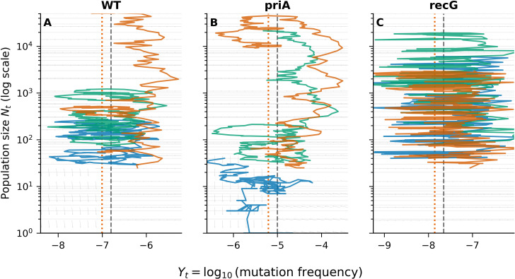 Figure 5