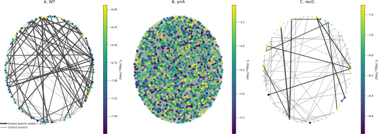 Figure 6