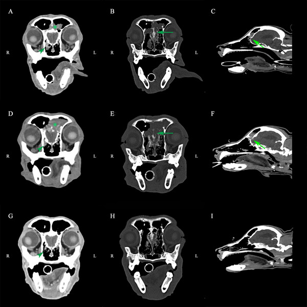 FIGURE 3