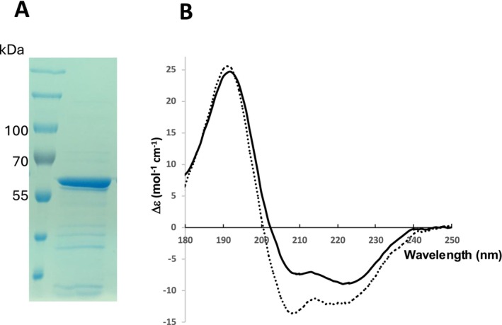 FIGURE 4
