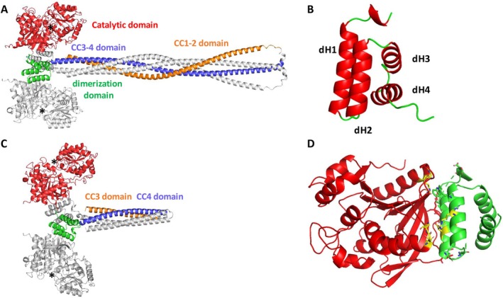 FIGURE 3