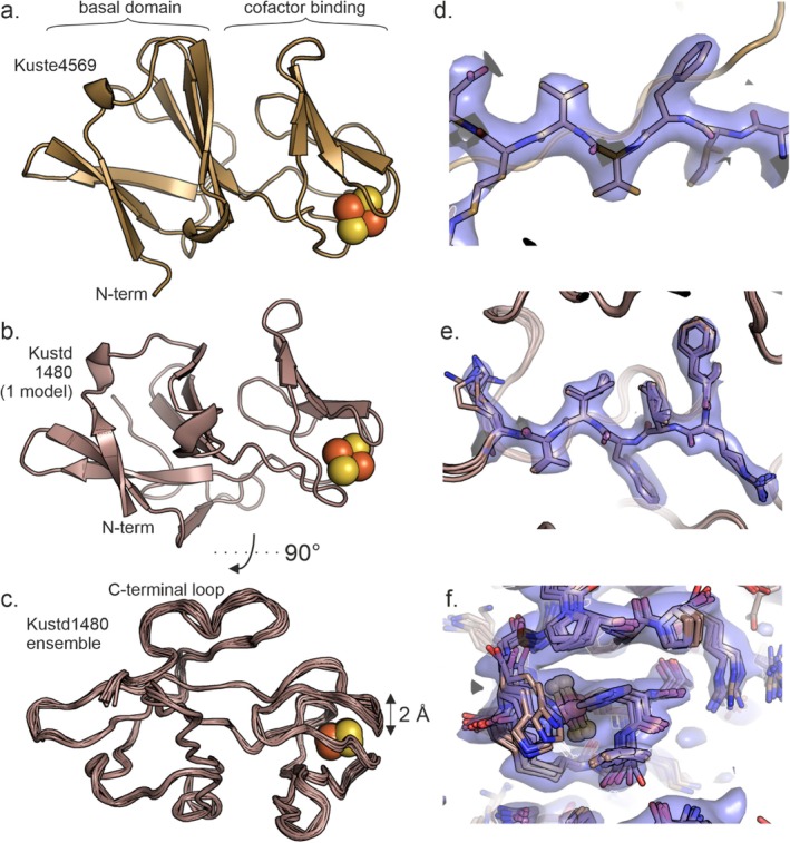 FIGURE 2