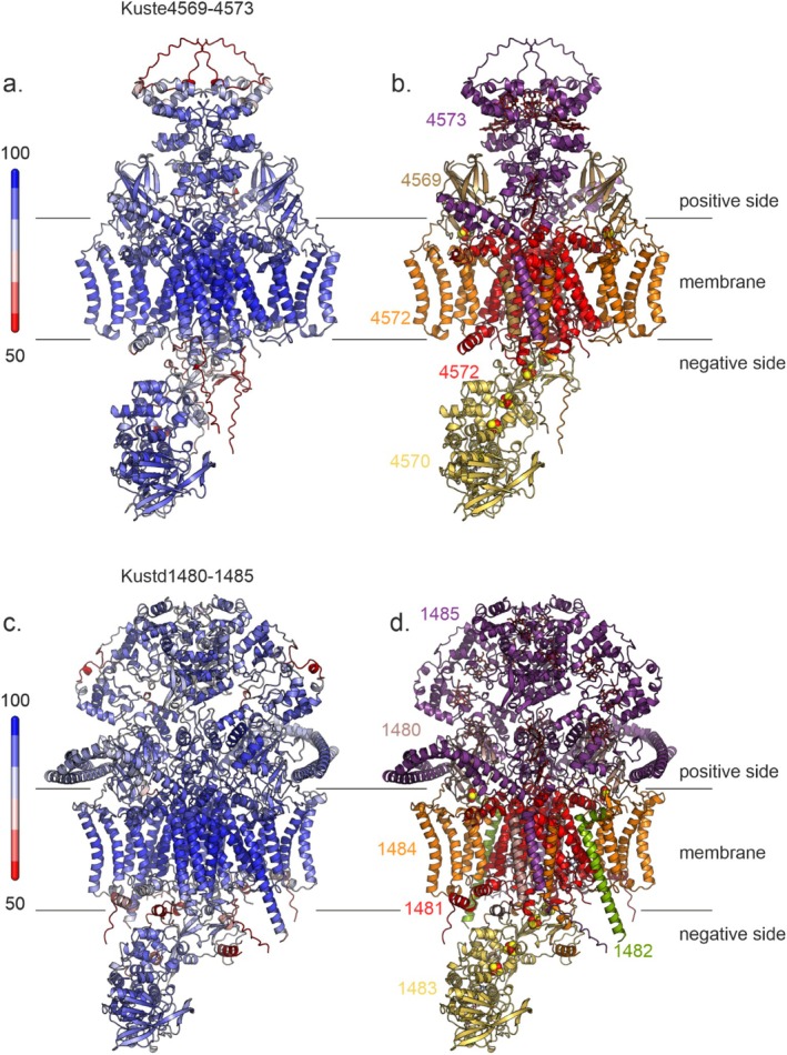 FIGURE 6