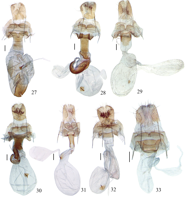 Figures 27–33