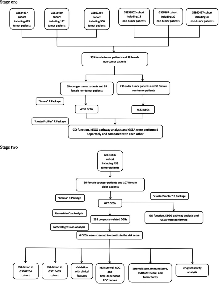 FIGURE 1