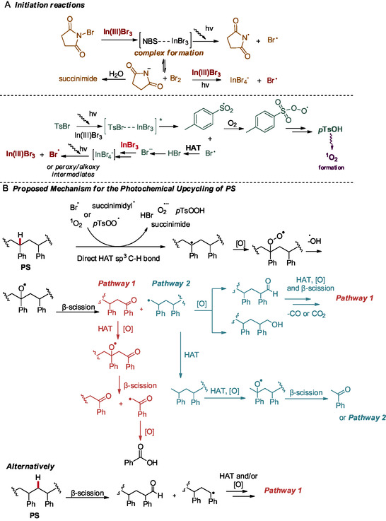 SCHEME 5