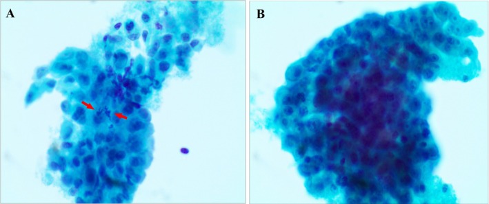 FIGURE 2
