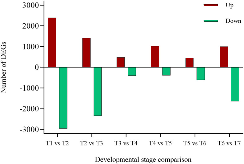 Figure 4