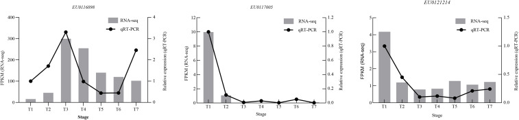 Figure 10