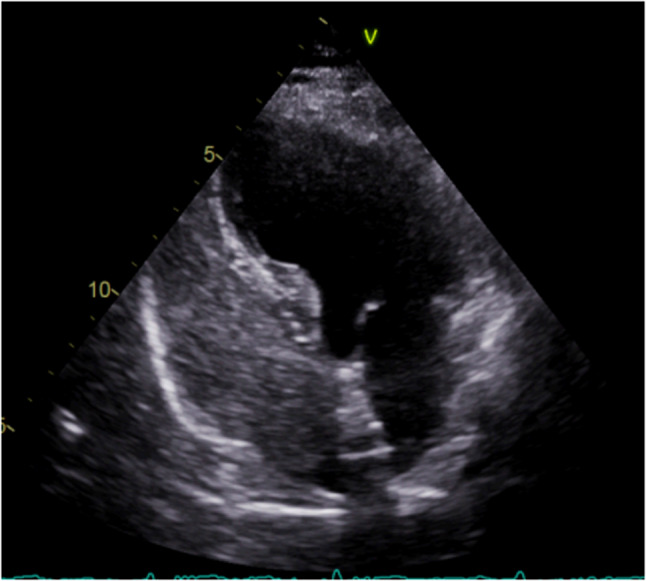 Figure 8
