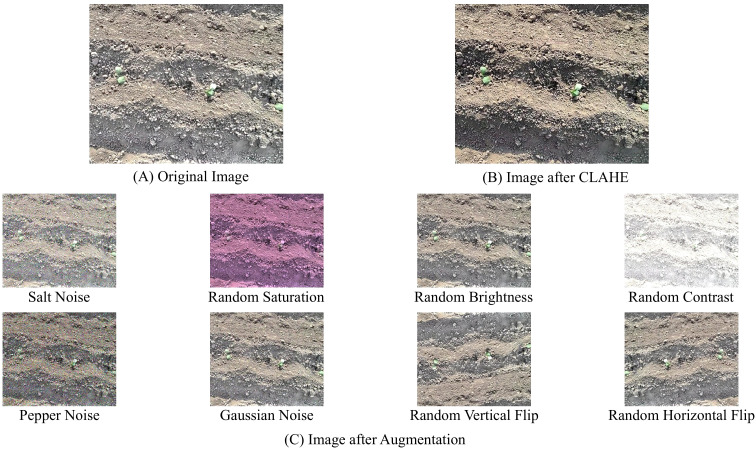 Figure 3