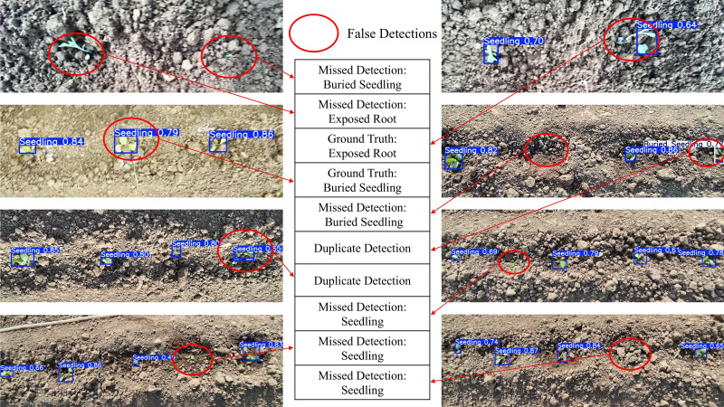 Figure 10