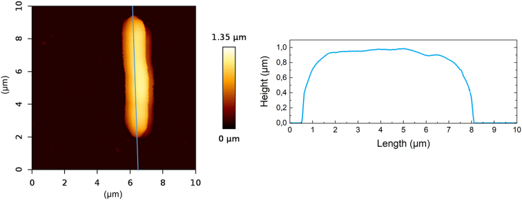 Figure 7