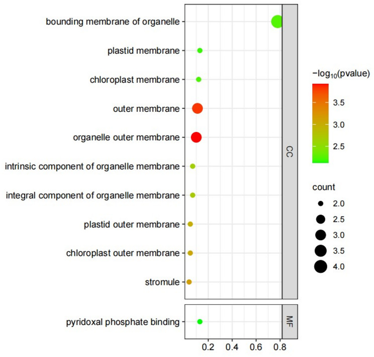 Figure 11