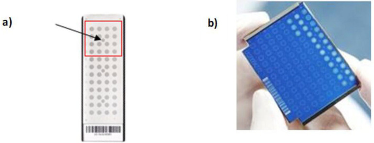 Fig 1