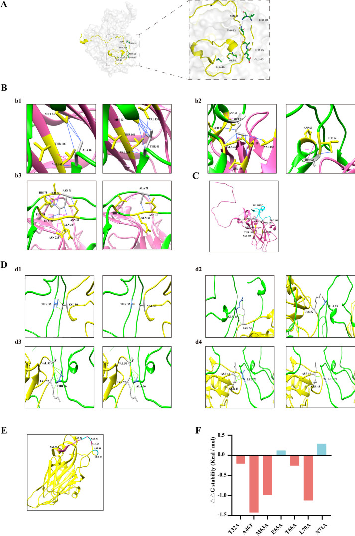 Fig 6