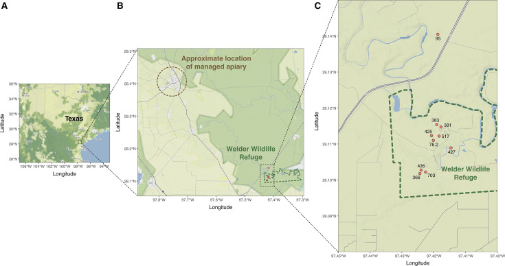 Fig 1