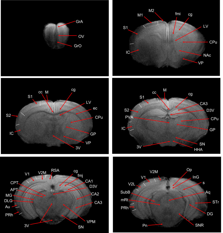 Fig 2