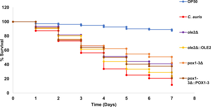 Fig 4