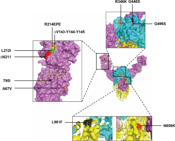 Fig 3