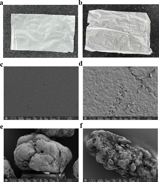 Fig 5