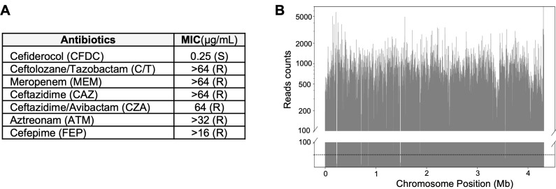 Fig 1