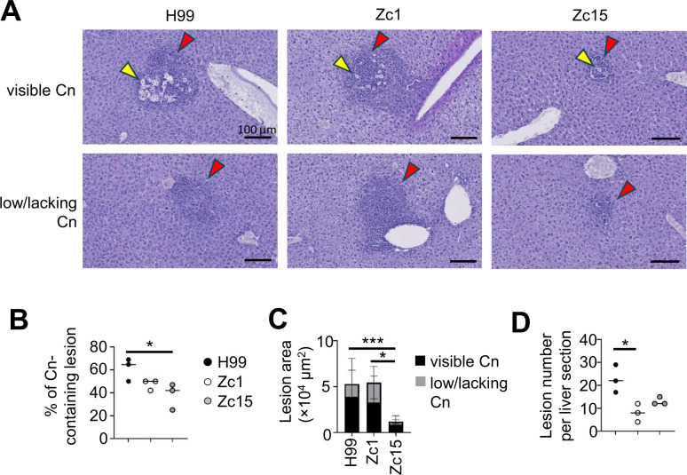 Fig 4