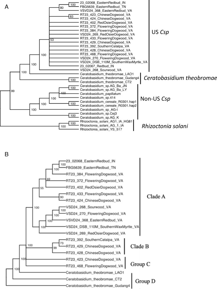 Fig 6