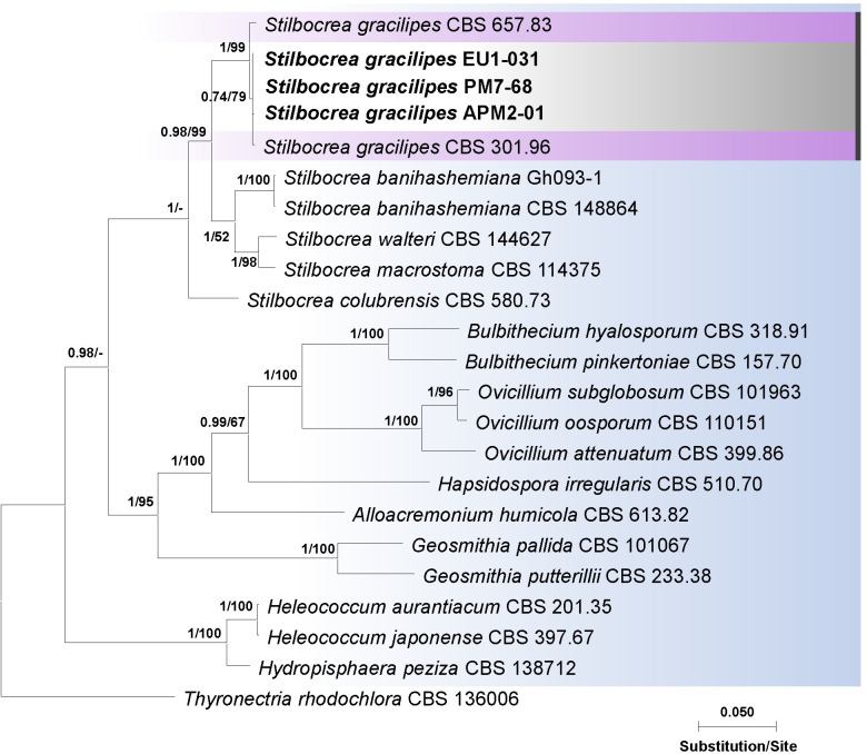 Fig 4