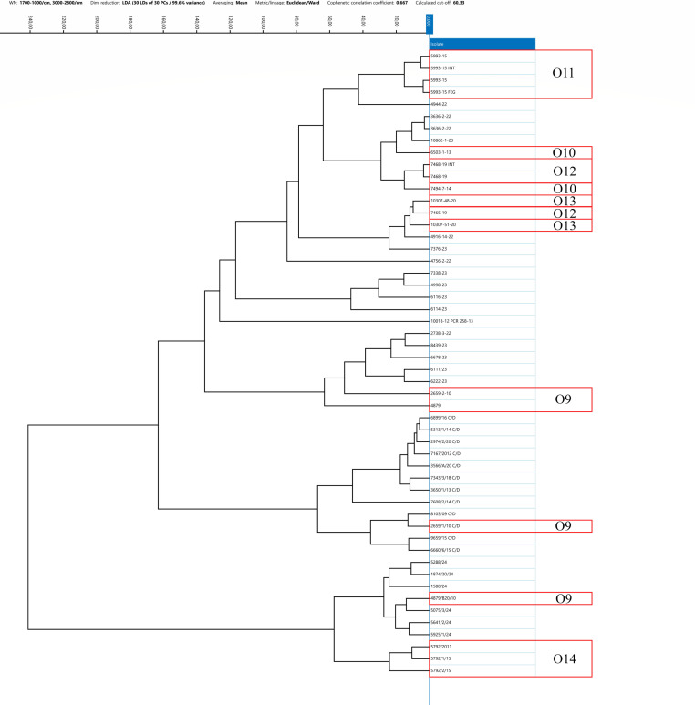 Fig 7