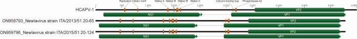Fig 1