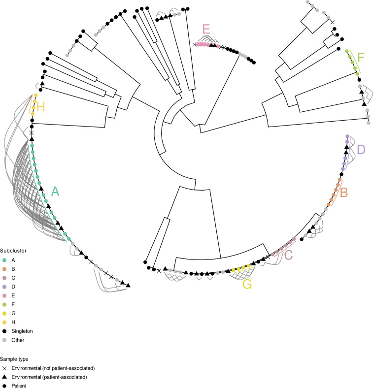 Fig 6