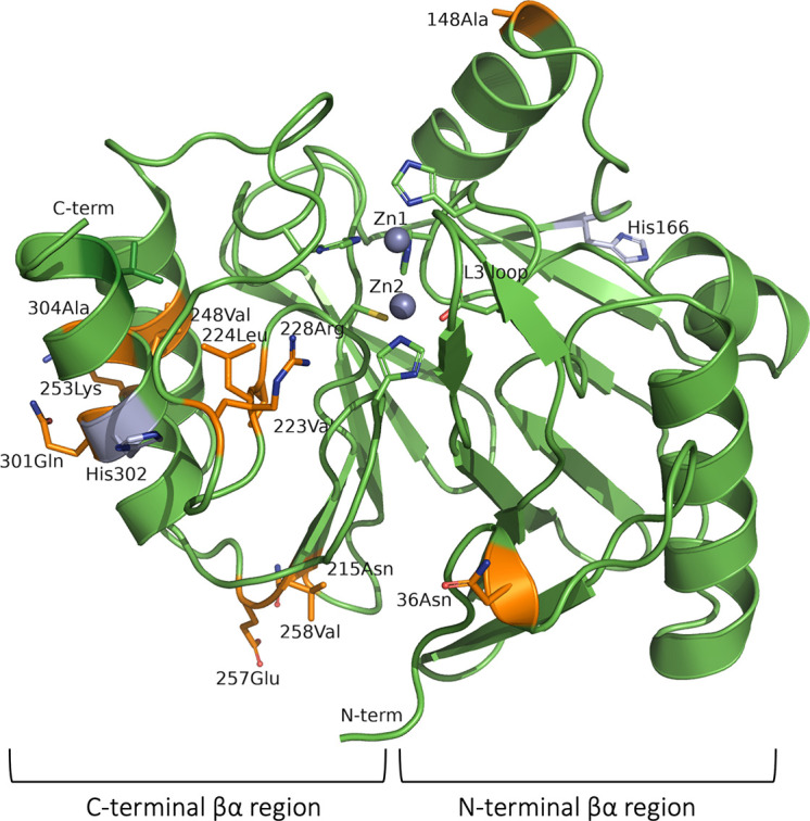 Fig 4