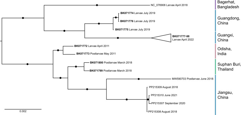 Fig 3