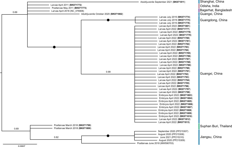 Fig 4