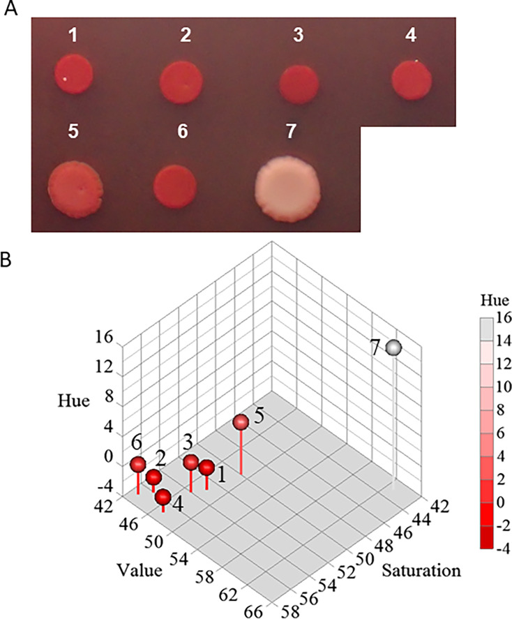 Fig 5