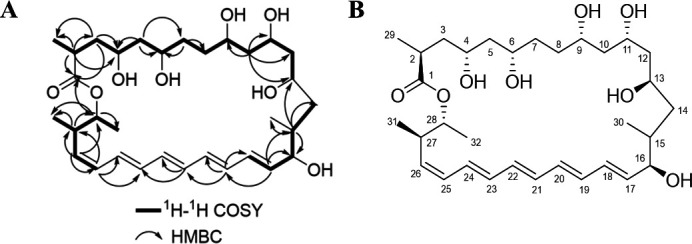 Fig 3