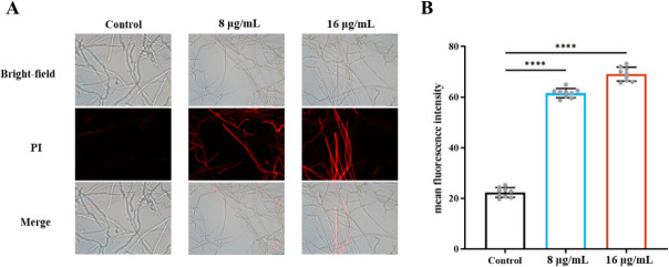 Fig 9