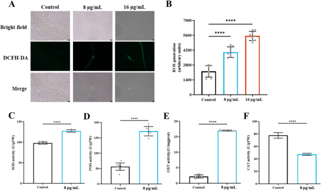 Fig 10