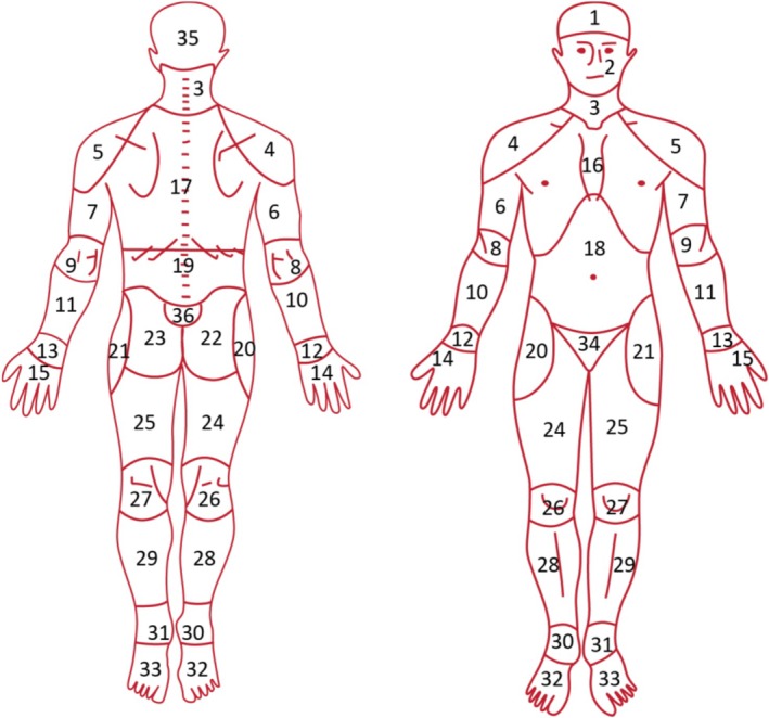 FIGURE 2