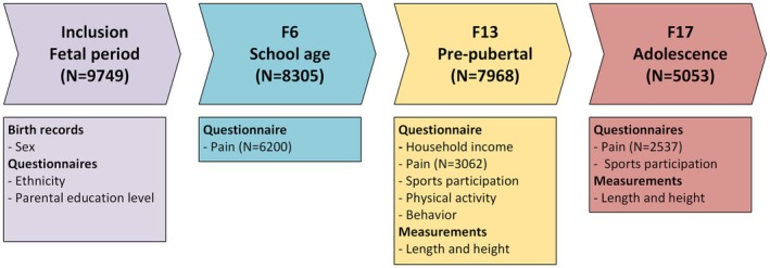 FIGURE 1