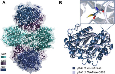FIGURE 4