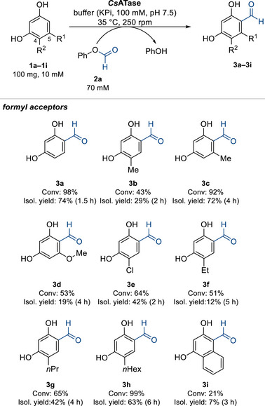 SCHEME 2