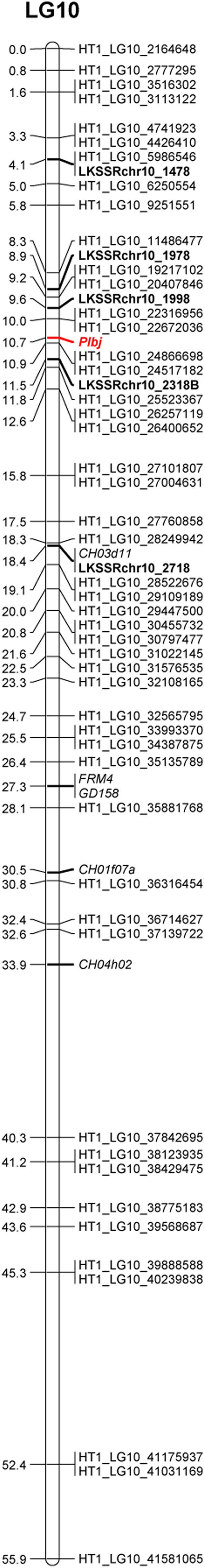 Figure 3