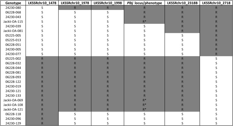 Figure 4