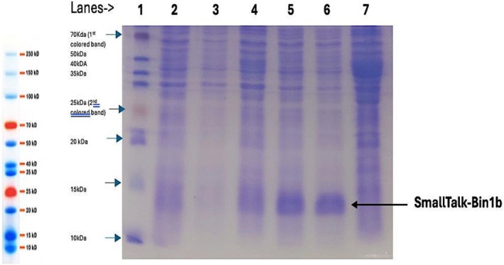 Fig. 5