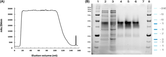 Fig. 6