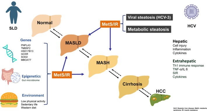 FIGURE 1