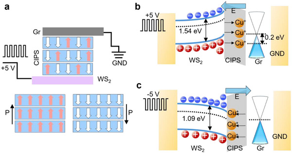 FIGURE 2