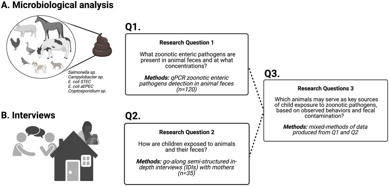 Fig 1